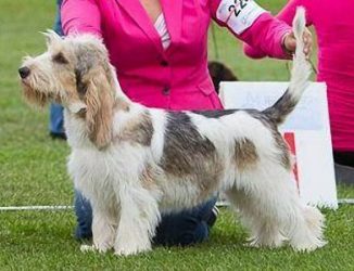 wildkleur-gbgv wildkleur-gbgv